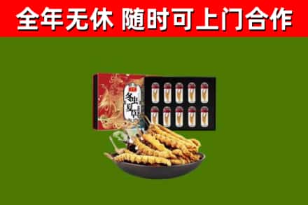 南溪回收冬虫夏草价格